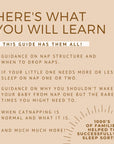 The Ultimate Daily Baby Guide