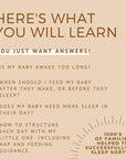 The Ultimate Baby Daily Guide